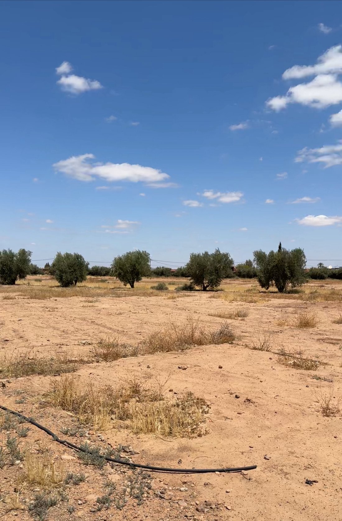 Land in Carrieres-sous-Poissy, Ile-de-France, France 2 - 14289744