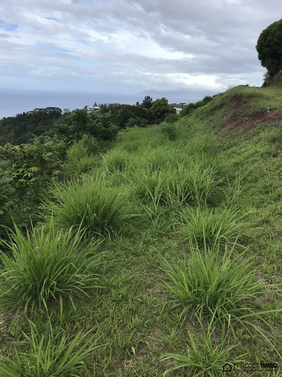 Land in Puna'auia, Windward Islands, French Polynesia 3 - 13547696