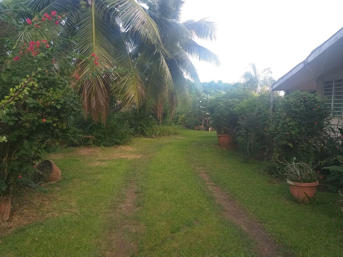 Land in Puna'auia, Windward Islands, French Polynesia 4 - 12843954
