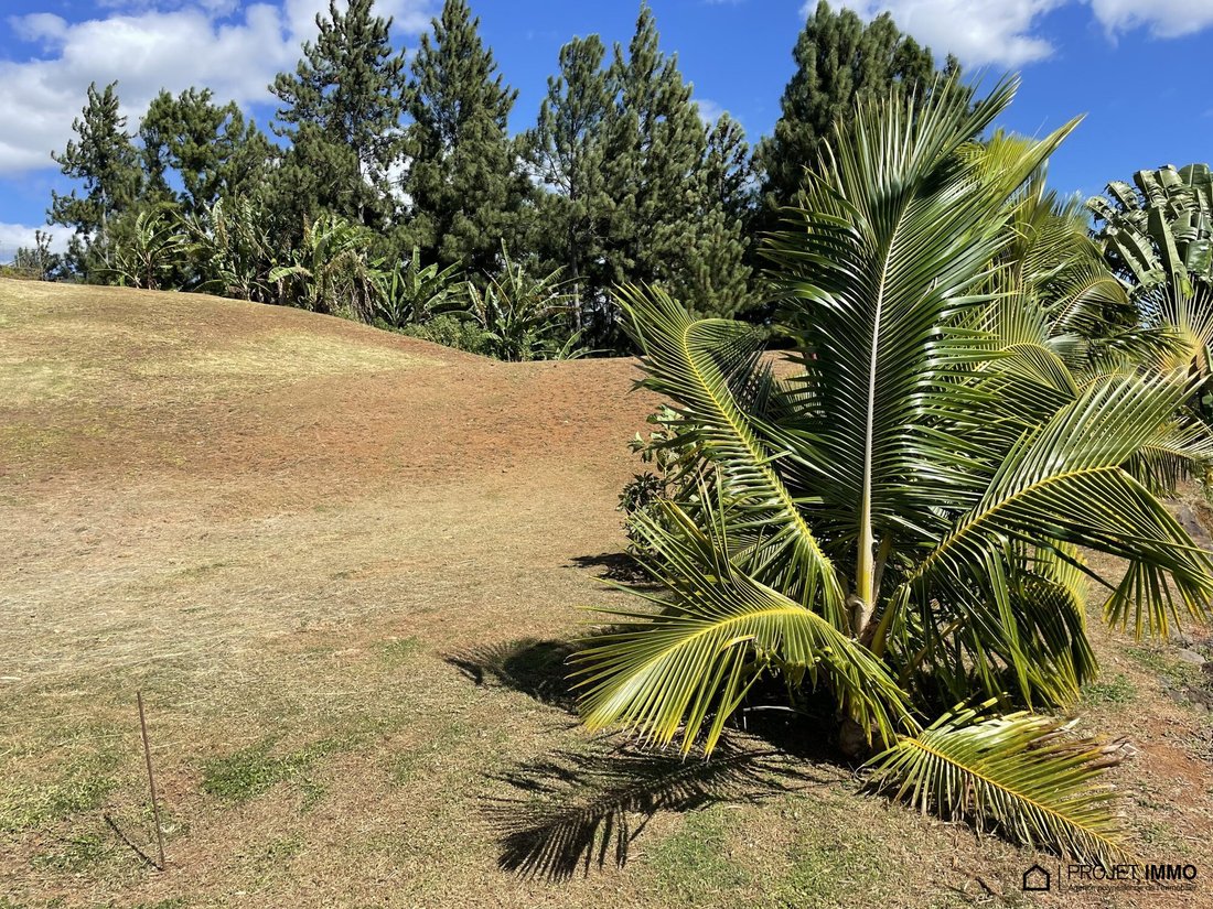 Land in Māhina, Windward Islands, French Polynesia 2 - 12941421