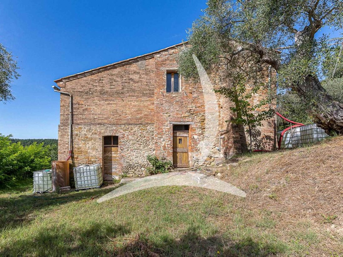 Asciano, Tuscany, Italy 4 - 14549612