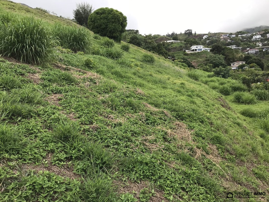 Land in Puna'auia, Windward Islands, French Polynesia 5 - 13547696