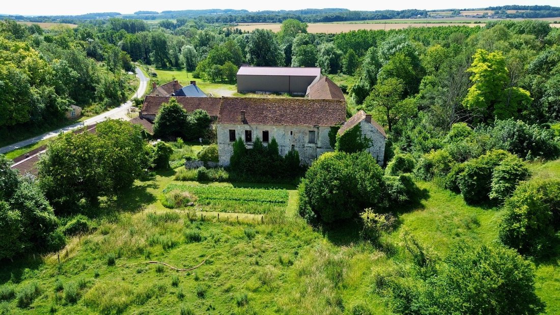 Le Château des Secrets de François Ier – Renaissance Whispers Near Paris