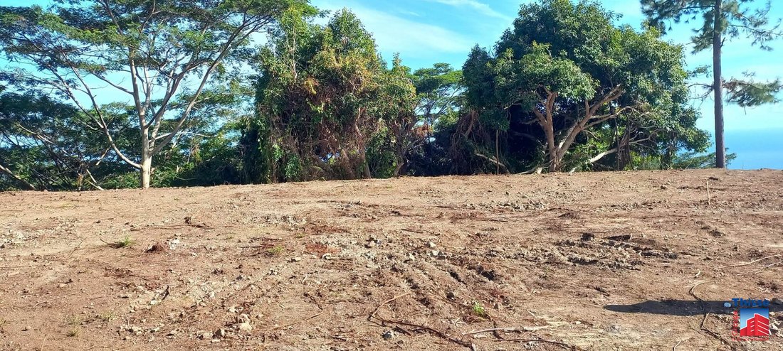 Land in Arue, Windward Islands, French Polynesia 3 - 12941505