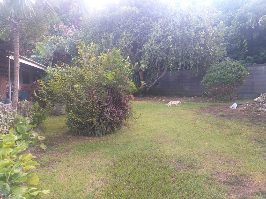Land in Puna'auia, Windward Islands, French Polynesia 1 - 12843954