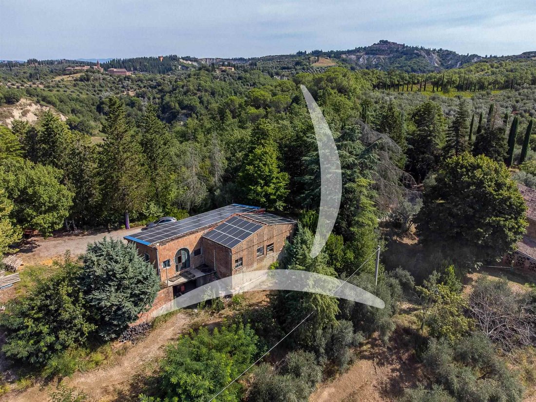 Asciano, Tuscany, Italy 4 - 14549619