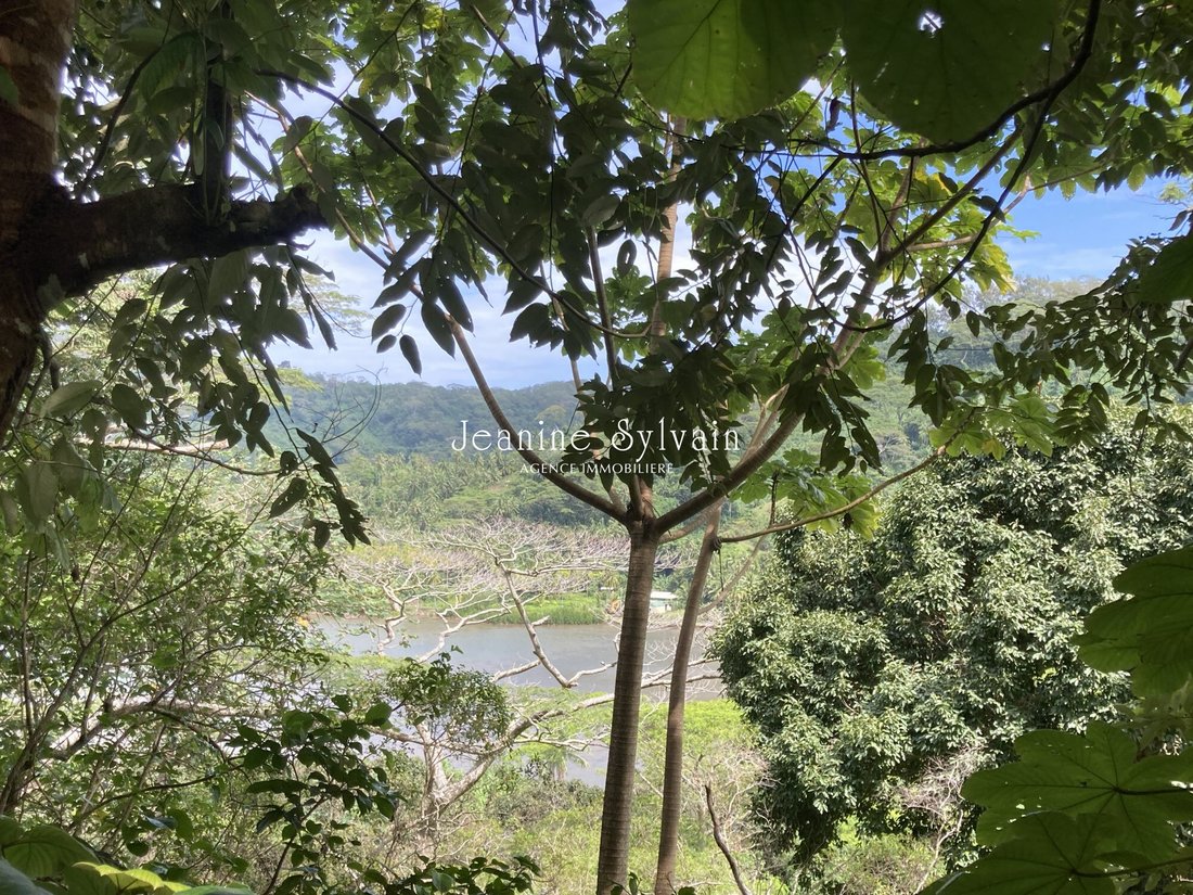 Land in Taha'a, Leeward Islands, French Polynesia 2 - 13489031