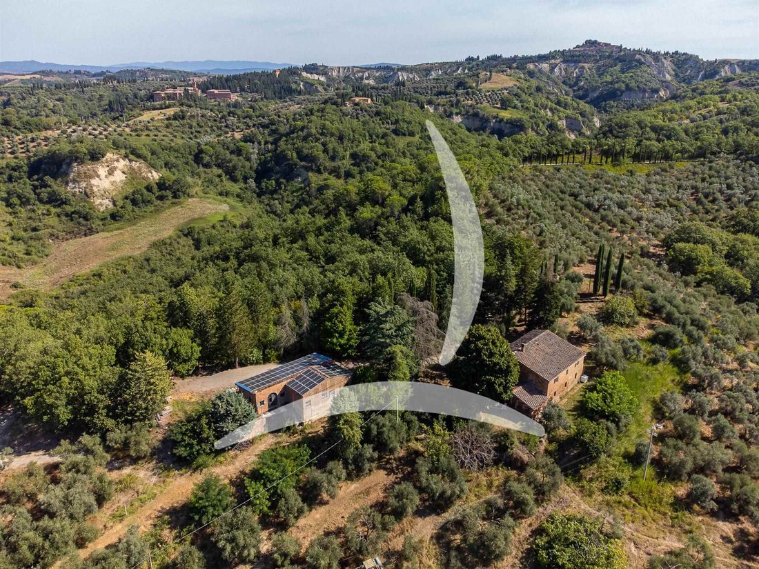 Asciano, Tuscany, Italy 1 - 14549619