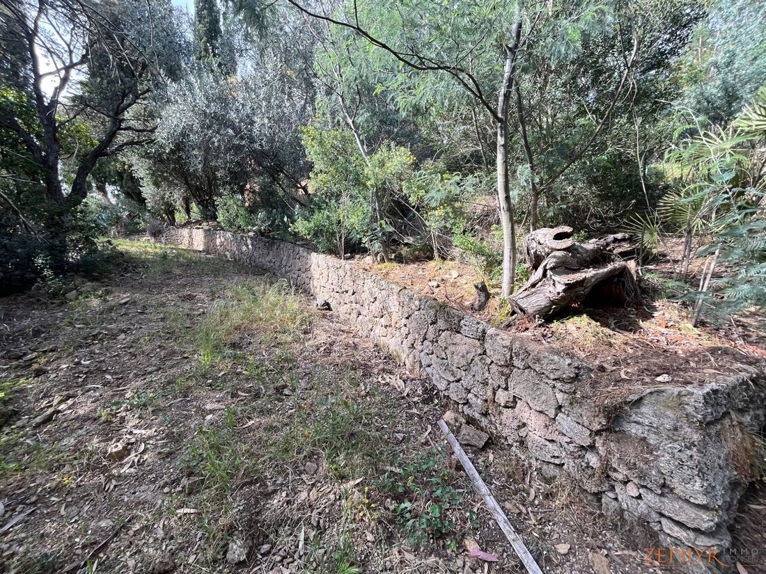 Land in Ecarts, Roquebrune-sur-Argens, France 4 - 13321813