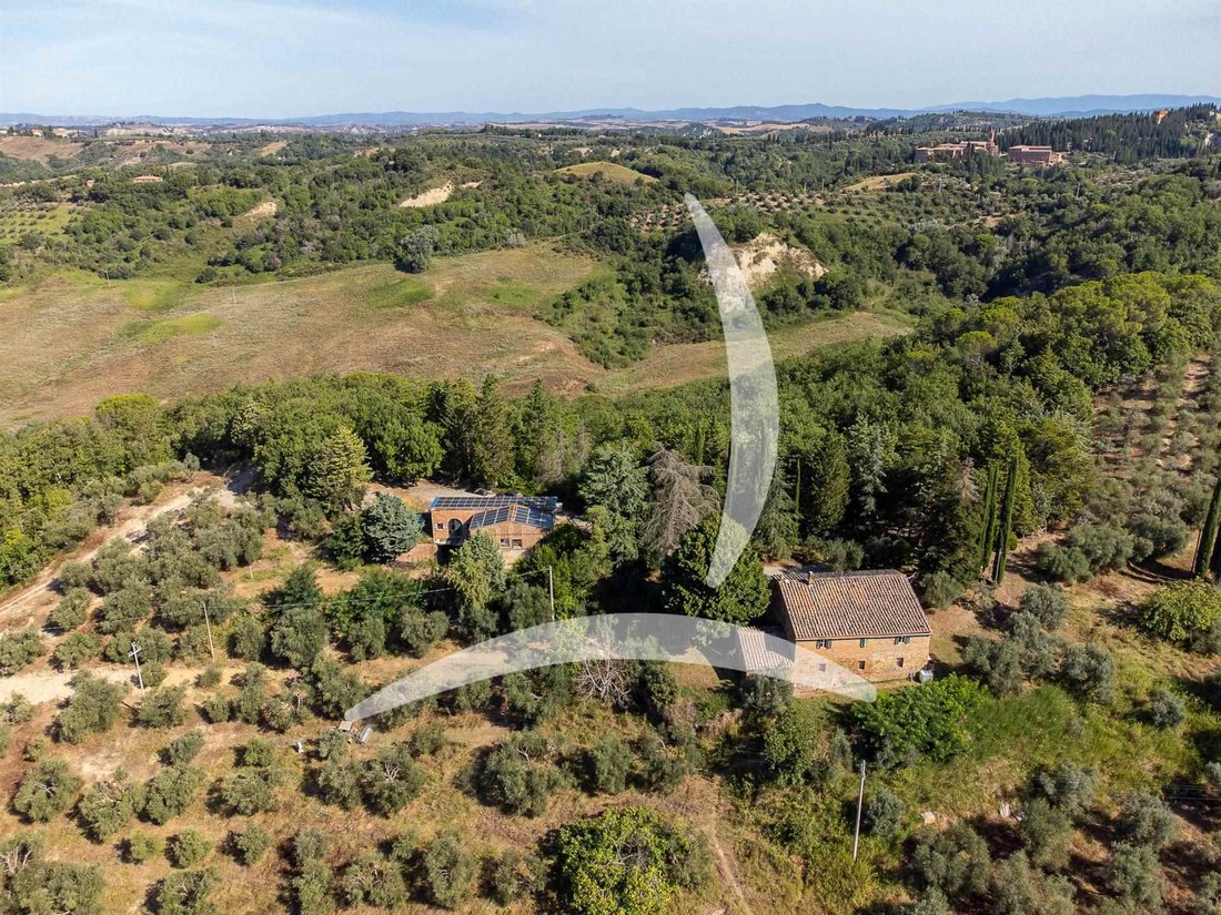 Asciano, Tuscany, Italy 2 - 14549619