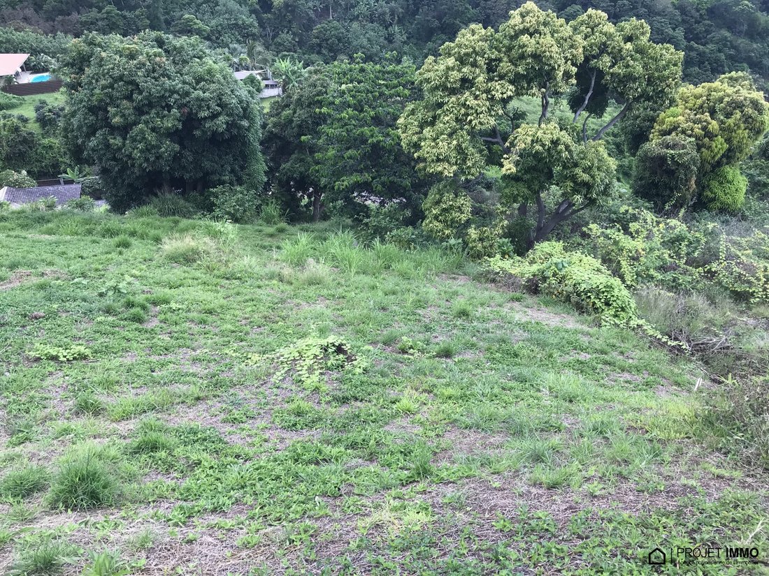 Land in Puna'auia, Windward Islands, French Polynesia 2 - 13547696
