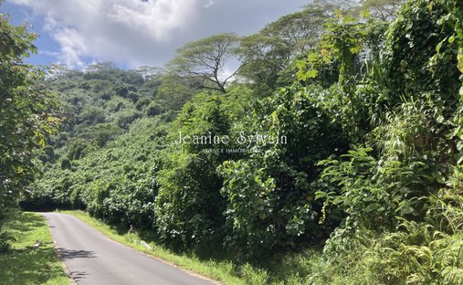 Land in Tahaa, Leeward Islands, Französisch-Polynesien 1