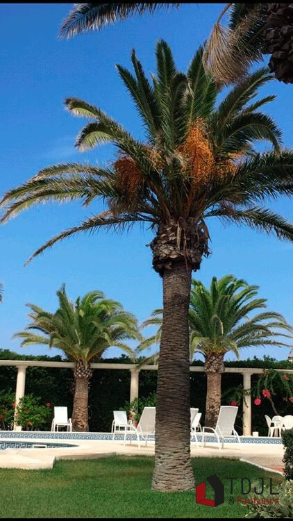 Chalet a Ciutadella de Menorca, Isole Baleari, Spagna 3 - 12848700