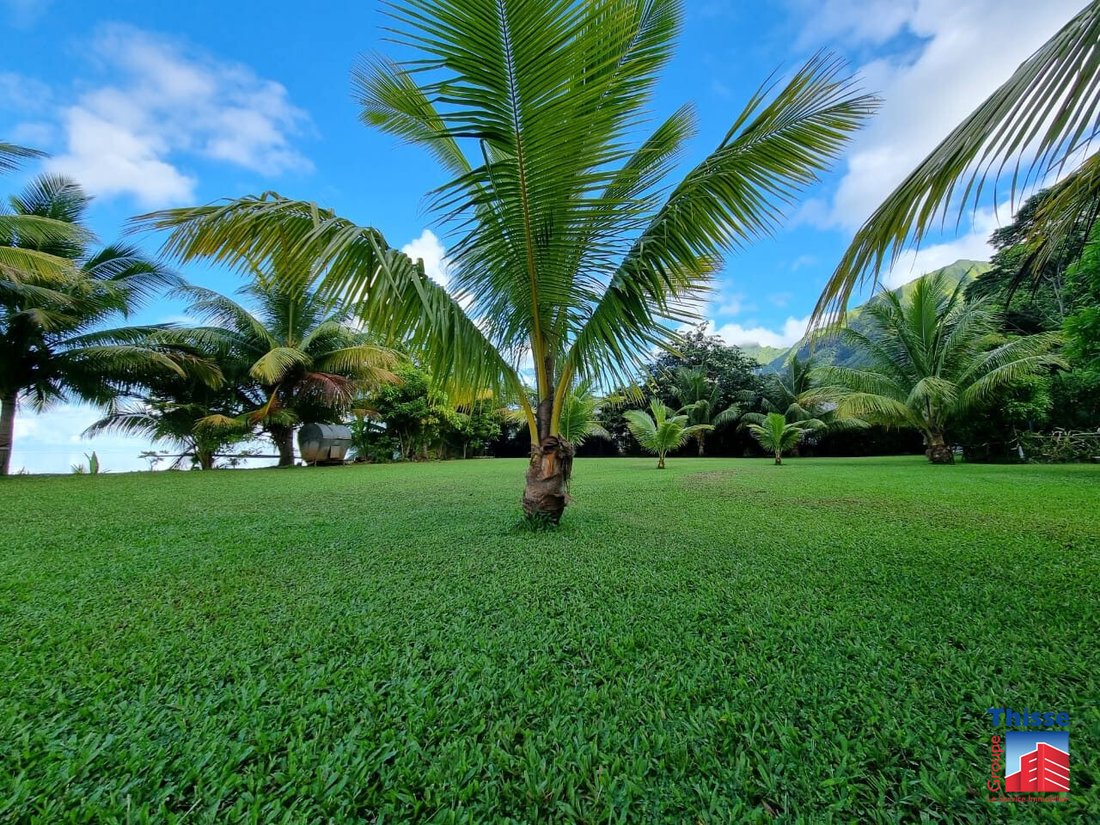 Land in taputapuatea, French Polynesia 5 - 13347123