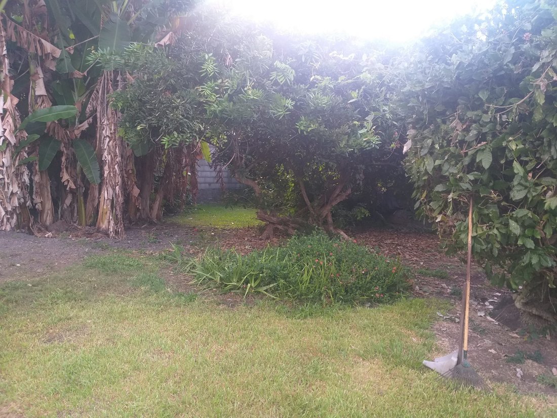 Land in Puna'auia, Windward Islands, French Polynesia 2 - 12843954