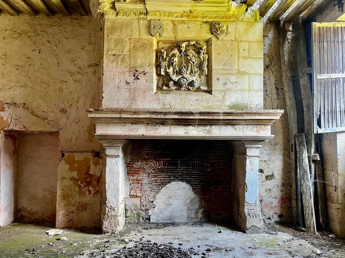 Le Château des Secrets de François Ier – Renaissance Whispers Near Paris - 5