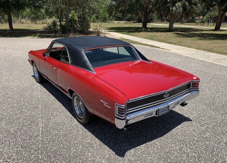 Pinellas, FL, United States 4 - 14553445