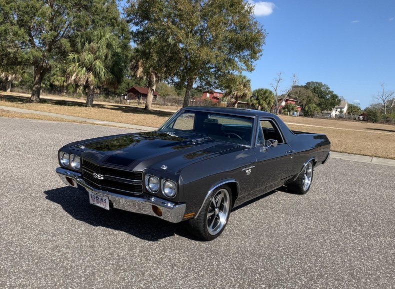 Pinellas, FL, United States 1 - 14553438