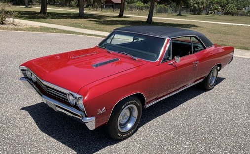 1967 Chevrolet Chevelle Big Block in Pinellas, FL, United States 1