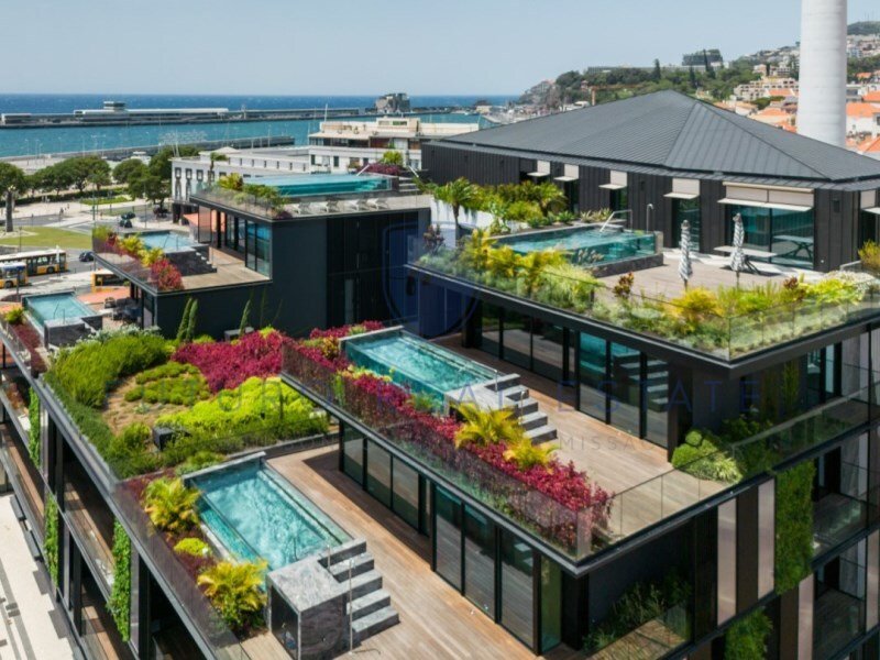 Apartment in Se, Madeira, Portugal 3 - 14553657