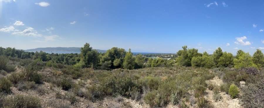 Altro a Ermioni, Decentralized Administration of Peloponnese, Western Greece and the Ionian, Grecia 2 - 14553765