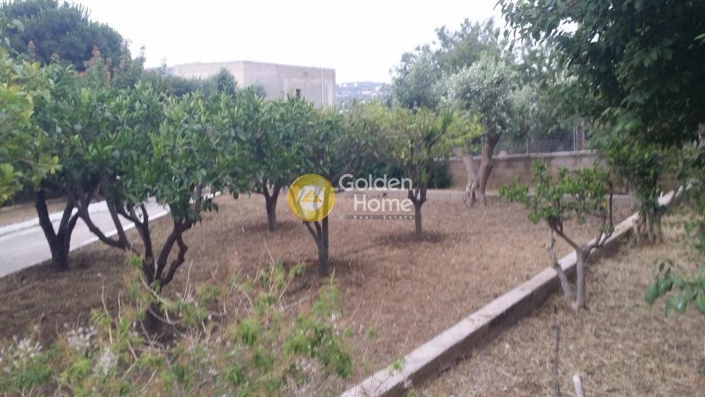Estate in South Aegean, Aegean, Greece 5 - 14555093