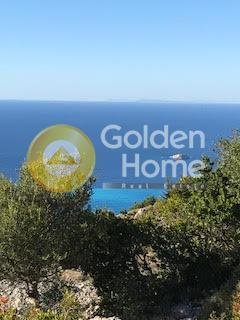 Land in Basilikis, Apollonioi, Greece 5 - 14555520