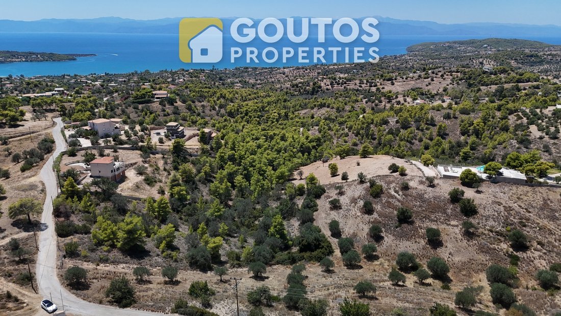 Land in Koinotita Kranidiou, Kranidi, Greece 5 - 14557977