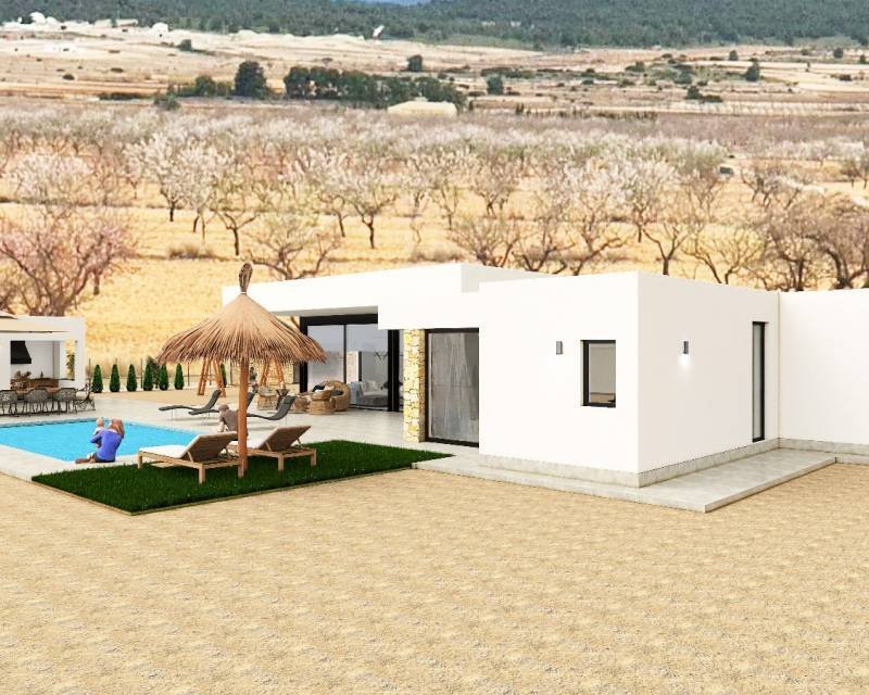 Villa in la Romana, Valencian Community, Spain 5 - 14554776
