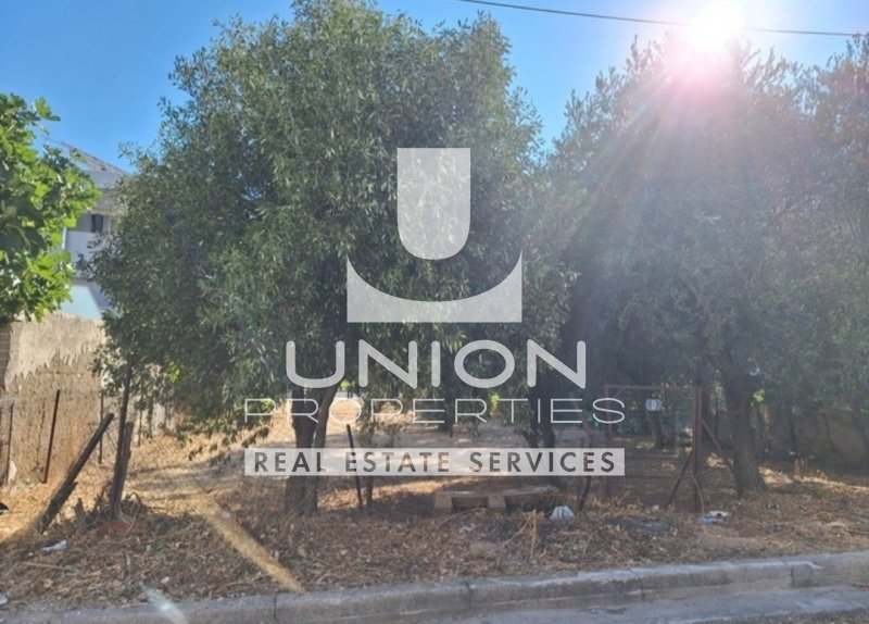 Land in North Athens, Attika, Griechenland 1 - 14554810