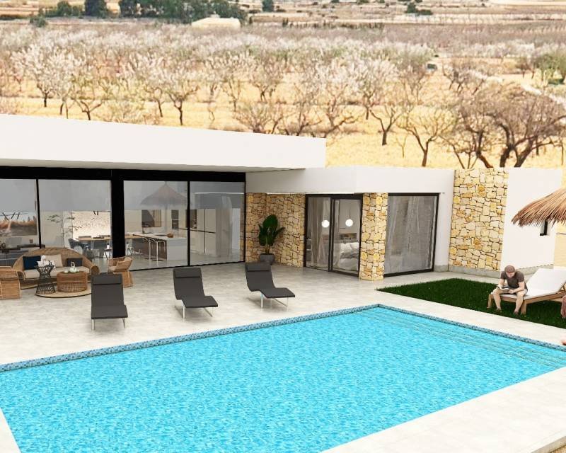 Villa in la Romana, Valencian Community, Spain 3 - 14554776