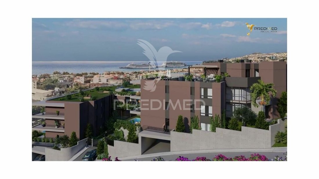 Apartment in Santa Luzia, Madeira, Portugal 4 - 14561567