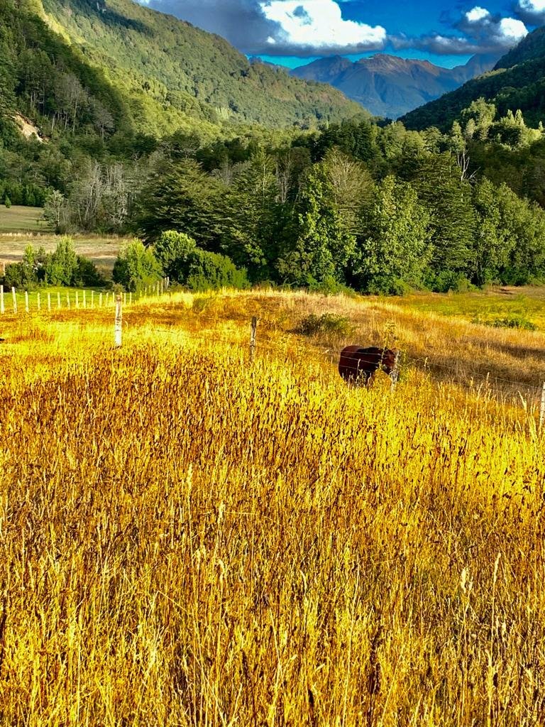 Land in Llanada Grande, Los Lagos, Chile 4 - 14562395