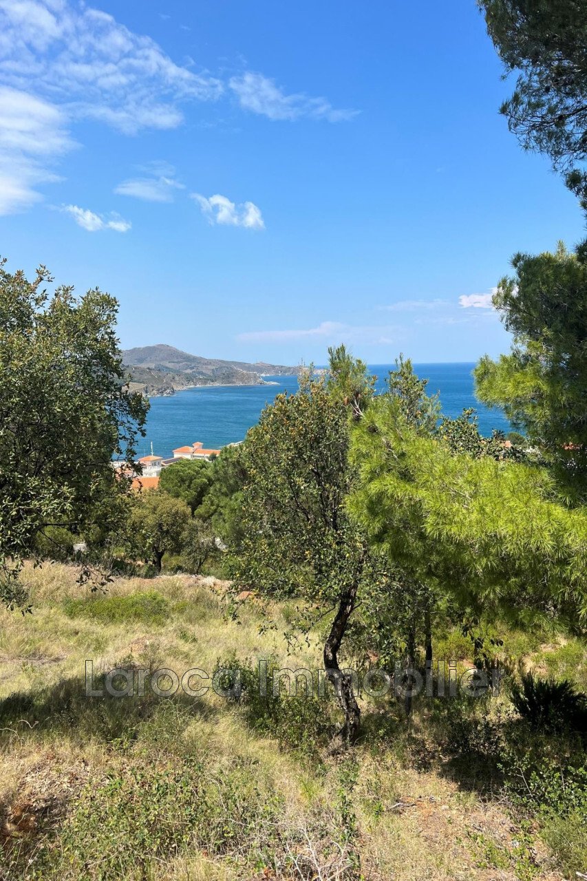 Villa in Ouest, Banyuls-sur-Mer, France 4 - 14562592