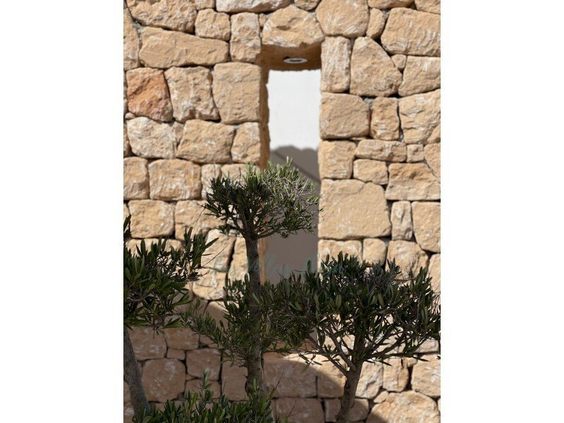 House in Sant Josep de sa Talaia, Balearic Islands, Spain 3 - 14563063