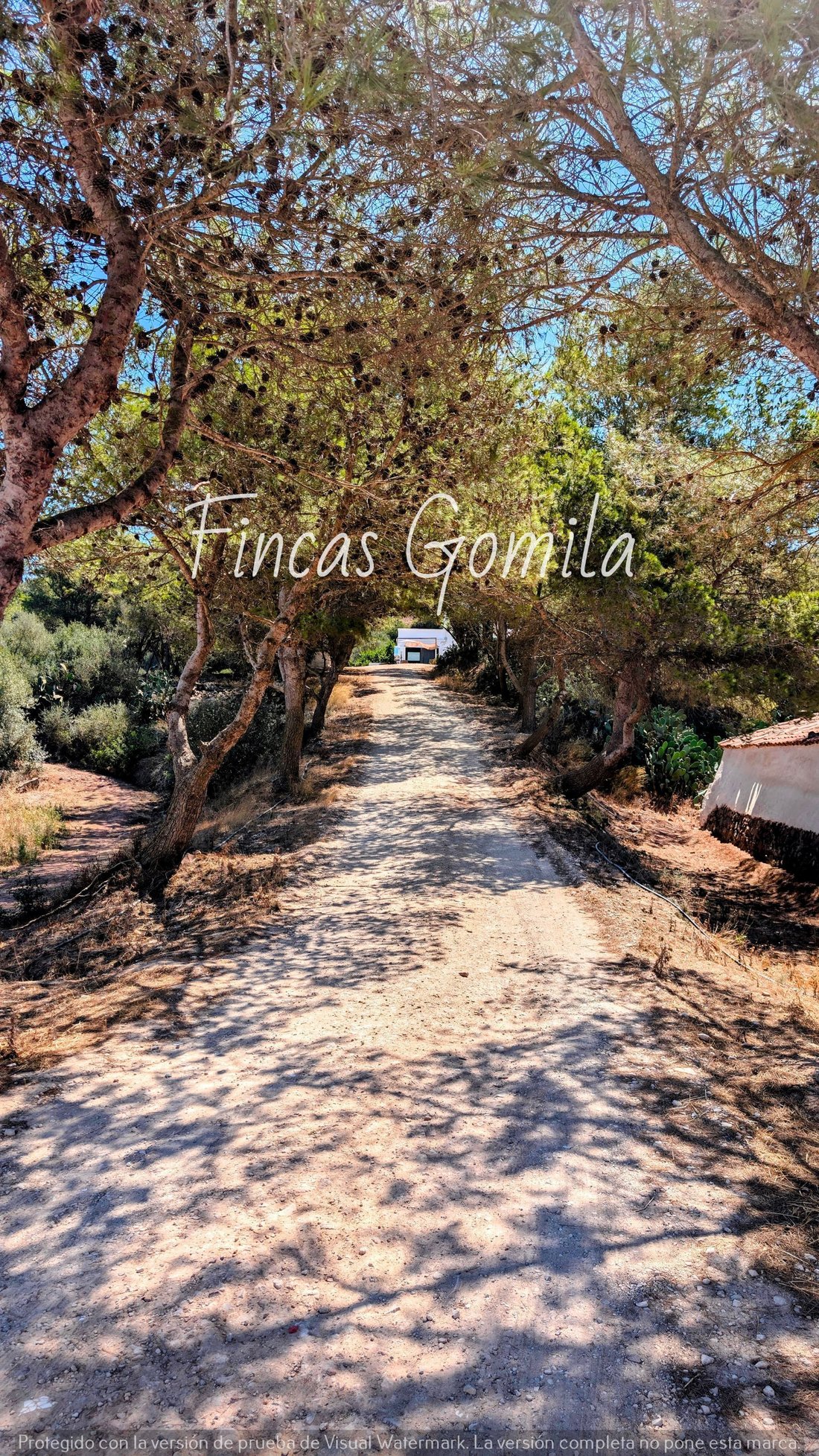 Estate in Ferreries, Balearic Islands, Spain 3 - 14566706