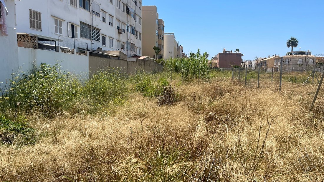 Land in Palma, Balearic Islands, Spain 4 - 14565555