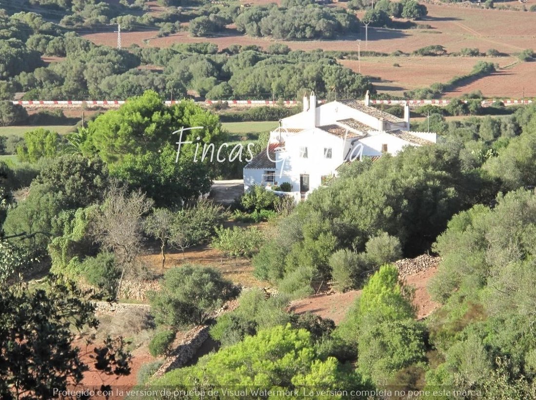 Estate in Ferreries, Balearic Islands, Spain 1 - 14566706