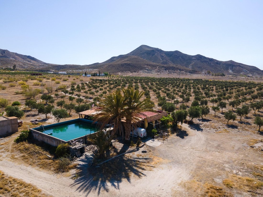 Land in Tabernas, Andalusia, Spain 1 - 14566565