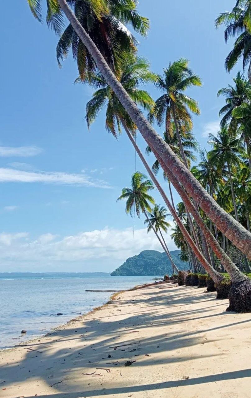 Private Island in Quezon, MIMAROPA, Philippines 4 - 14568515