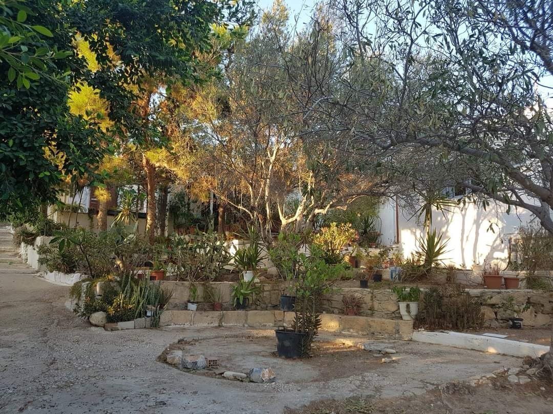 House in Community of Ierapetra, Ierapetra, Greece 3 - 14570045