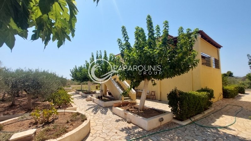 Koinotita Kranidiou, Kranidi, Greece 2 - 14570011