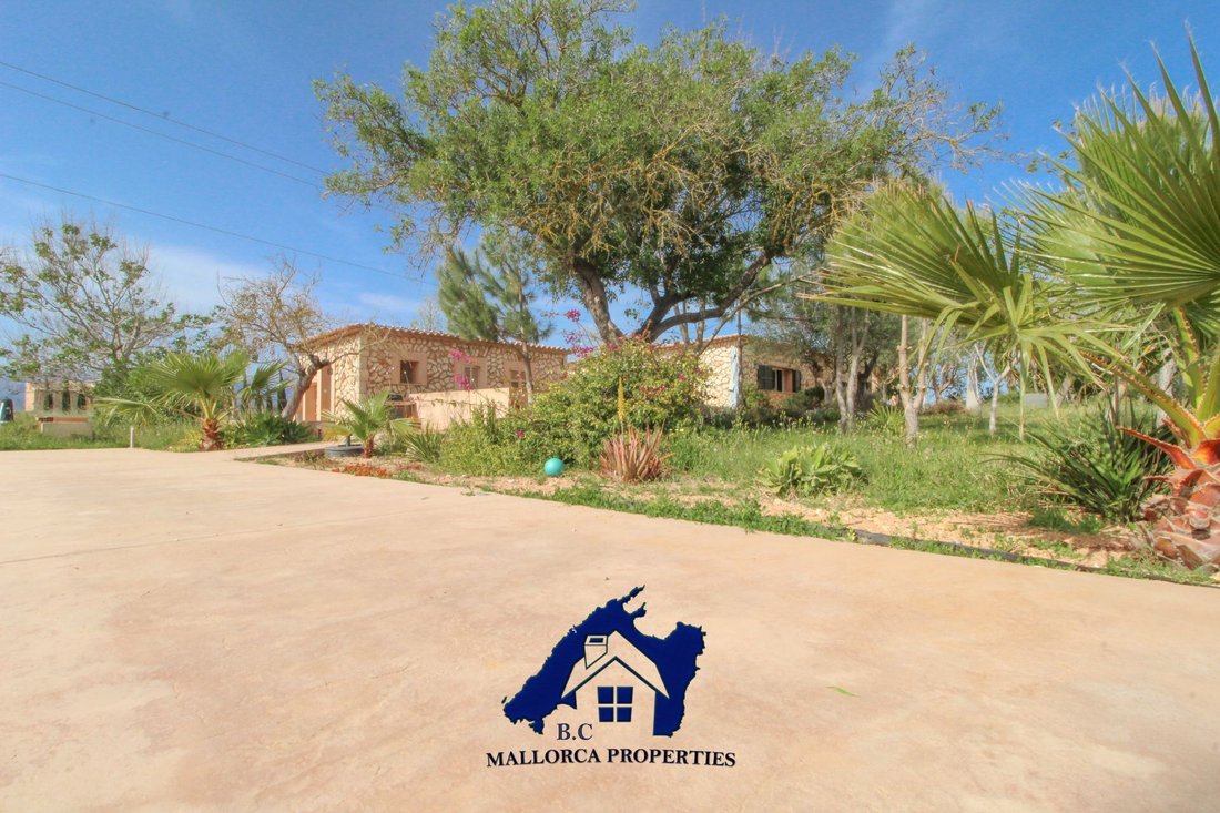 House in Sencelles, Balearic Islands, Spain 5 - 14571268