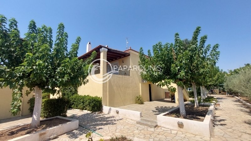 Koinotita Kranidiou, Kranidi, Greece 3 - 14570011