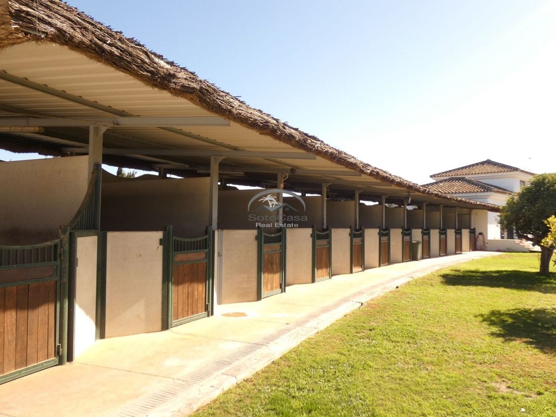 Country House in Sotogrande, San Roque, Andalusia 1 - 14573167