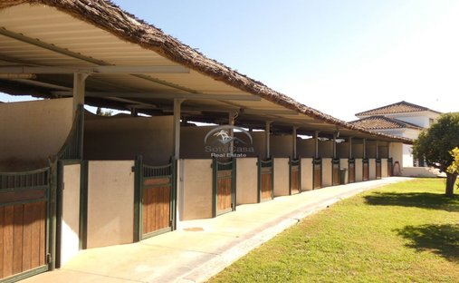 Maisons de campagne à Sotogrande, San Roque, Andalousie 1