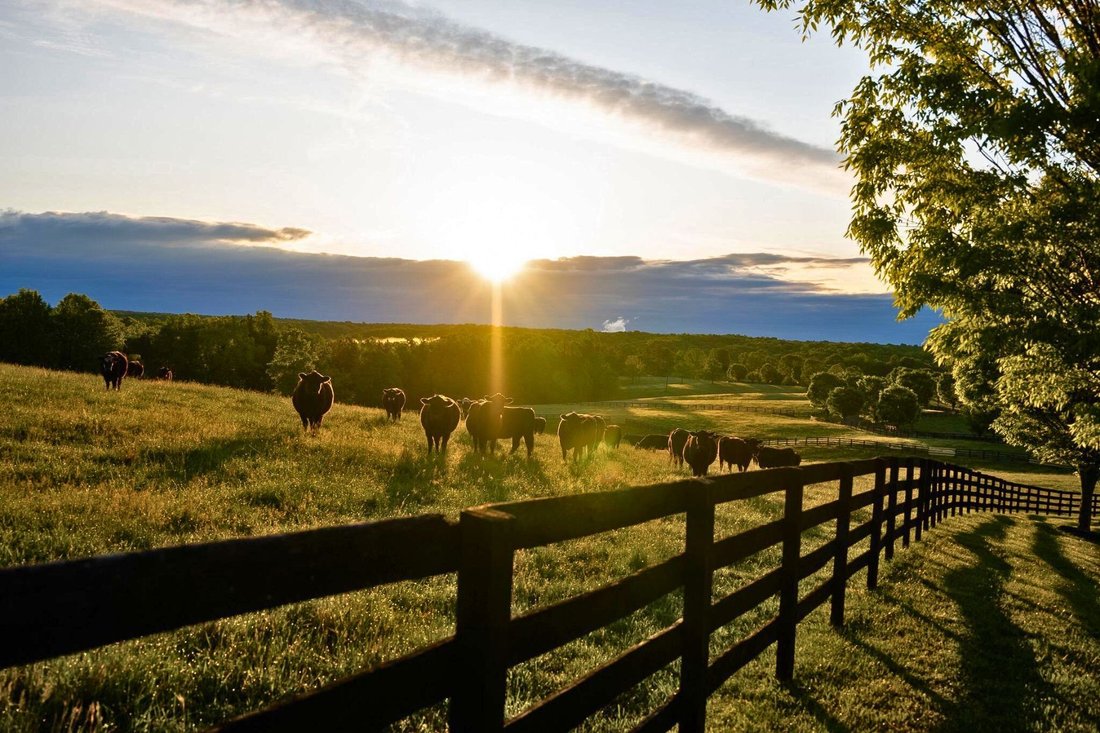 Land in Cunningham, Virginia, United States 2 - 12992794