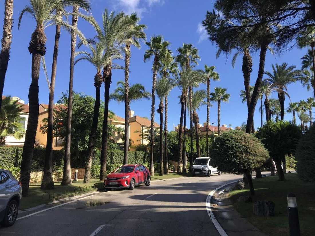 Apartment in Sotogrande, San Roque, Andalusia 2 - 14573238