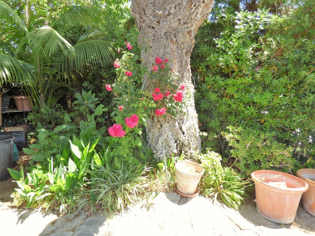 Villa in Sotogrande, San Roque, Andalusia 2 - 14573172