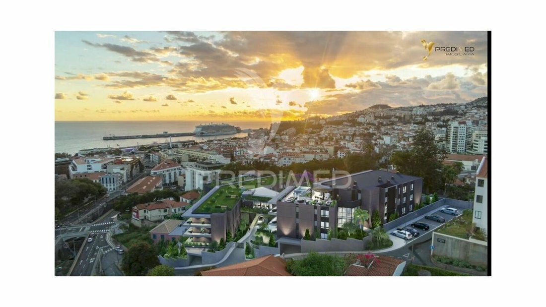 Apartment in Santa Luzia, Madeira, Portugal 3 - 14557200